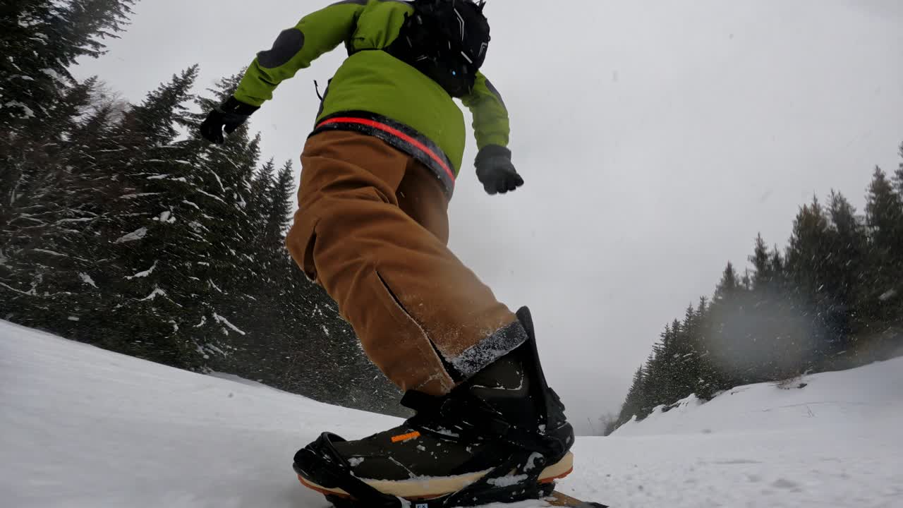 Snowboarding i Karpaterbjergene i Bulgarien nær lokale træer