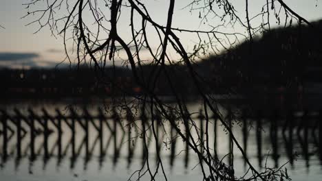 Majestätischer-Weidenbaum-In-Der-Abenddämmerung-Mit-Lebendigen-Stadtlichtern-Und-Ruhiger-Wasserspiegelung