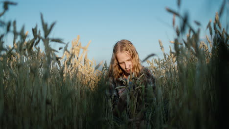 portrait of a cute little girl in a field of wheat