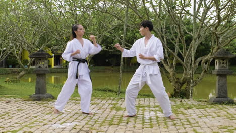 couple practising martial arts together