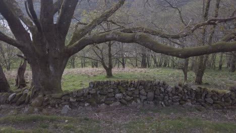 Un-Antiguo-Muro-De-Piedra-En-Las-Tierras-Altas