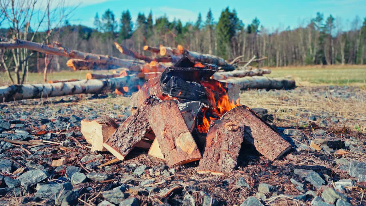 Bonfire Burning In Rocky Clearing, Surrounded By Logs And Dry Bush On Sunny Day. closeup shot