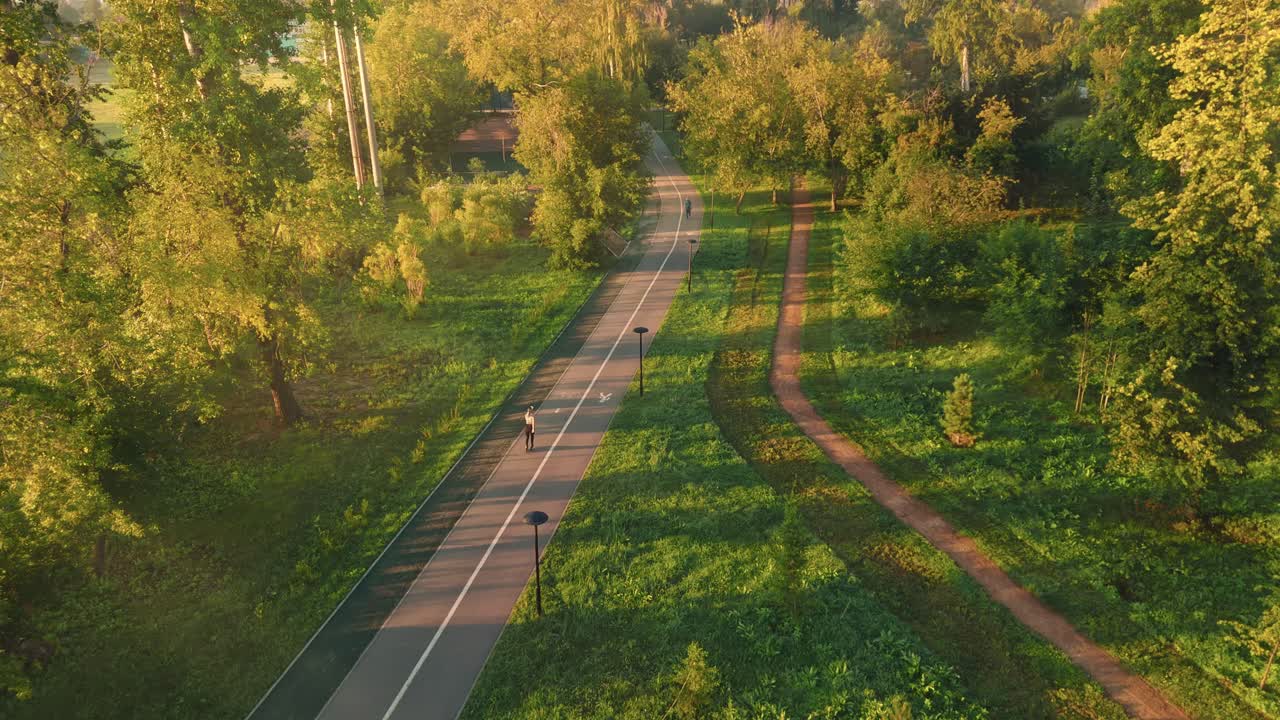 Park Trail in the Morning Sunlight