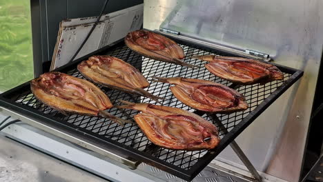 Person-taking-fresh-fish-and-putting-into-smoker-or-cooker,-close-up-view