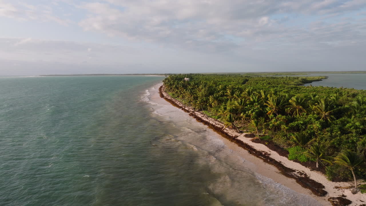 costa de una isla tropical con palmeras y olas del océano