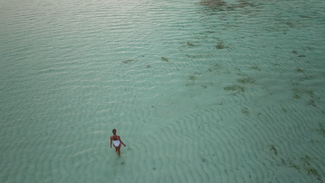 mujer en traje de baño blanco caminando en aguas poco profundas con tiburones de arrecife