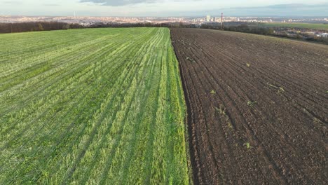 aerial view of farmland, green mowed meadow and plowed ground, drone shot