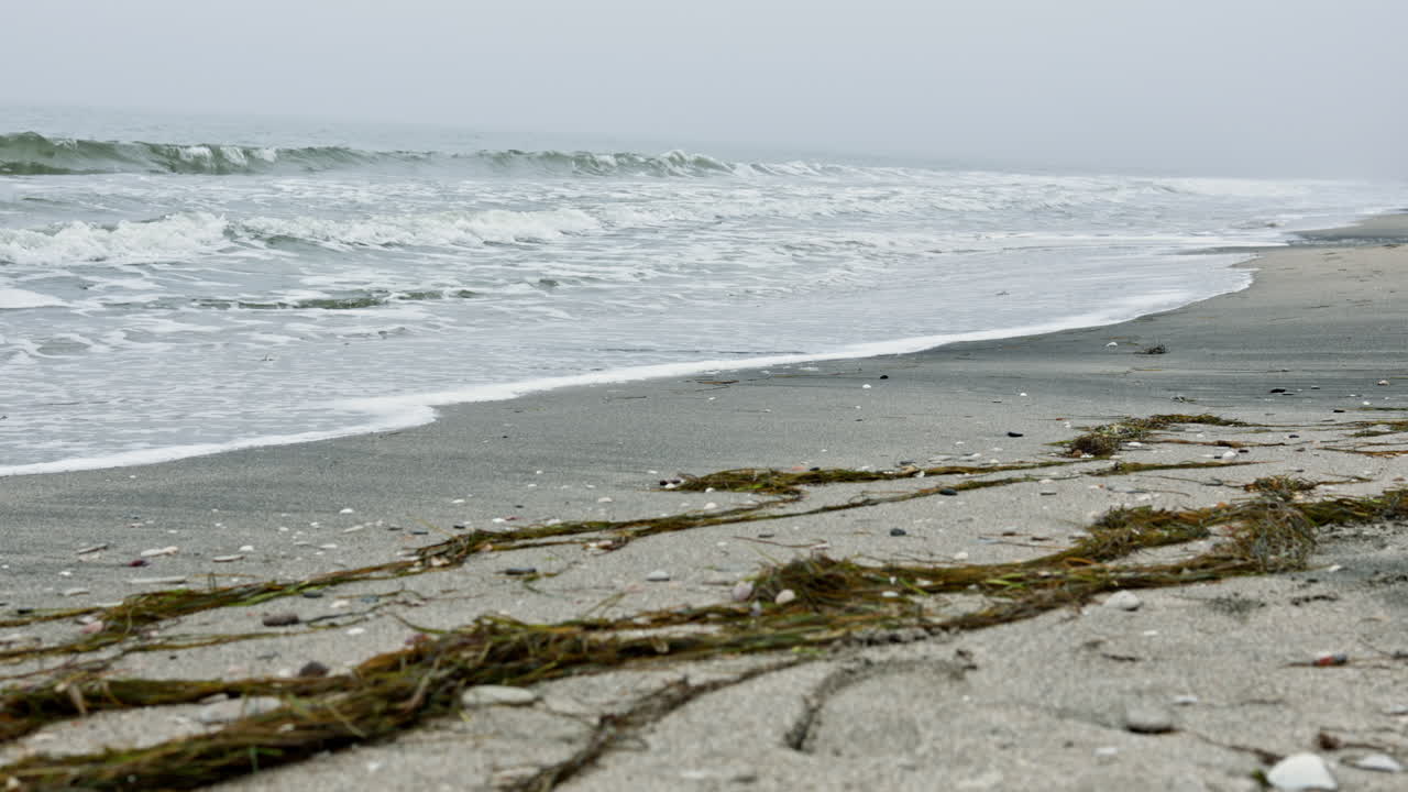 Le onde si riversano sulla riva con alghe lungo la sabbia di una spiaggia tranquilla durante una giornata nuvolosa.