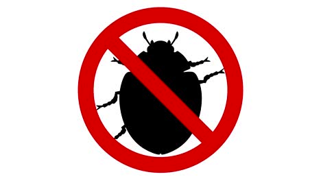 plaga de escarabajo en señal prohibida, animación cg
