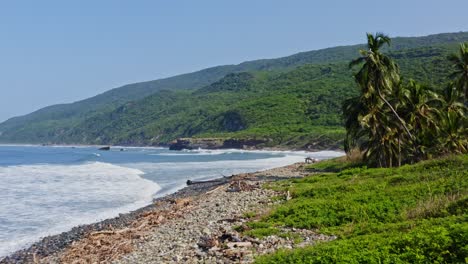 Aerial:-tropical-paradise-coastline-with-palm-trees-on-beach