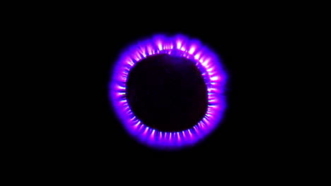 kirlian photography of kumquat cross-section