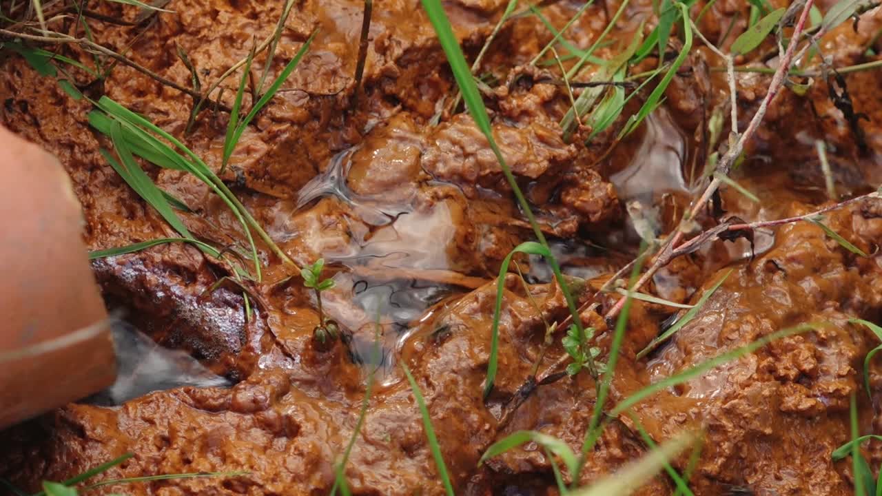 Close-up of wet reddish-brown clay soil with water flowing through and green grass blades scattered around