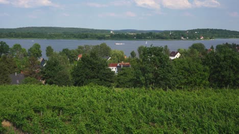 view from the werderaner wachtelberg at river havel in werder