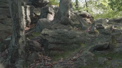 stones at lover's leap, wissahickon creek