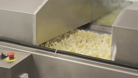 production factory line moves golden potato chips after frying. production line of the pasta factory