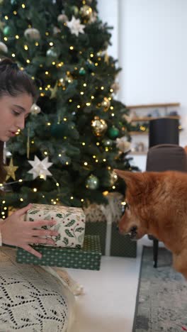 mañana de navidad con un perro