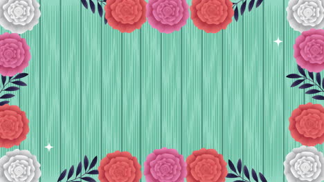 beautifull pink roses flowers garden frame animation