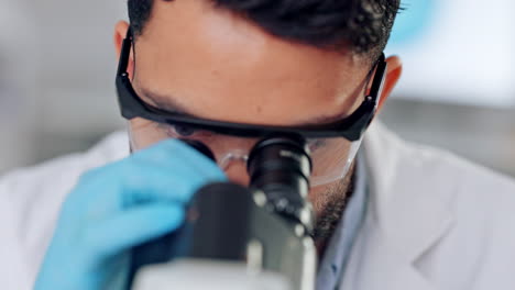 investigación, examen e inspección llevados a cabo por