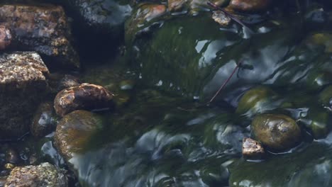 Water-Flowing-Over-Rocks-In-A-Stream-In-Boise-National-Forest---Close-Up