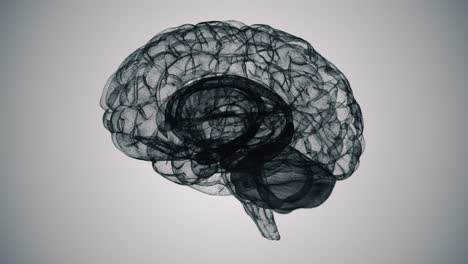 Nahtlose-Schleife-Eines-Wireframe-d-Gehirnmodells