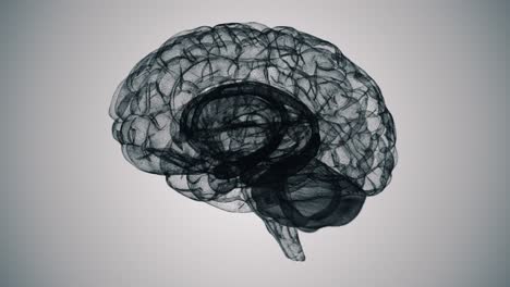 Bucle-Ininterrumpido-De-Un-Modelo-De-Cerebro-De-Estructura-Alámbrica-D