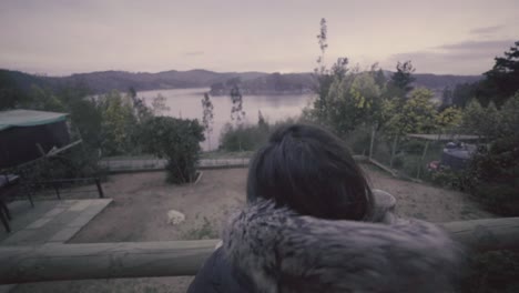 hd de una mujer y su casa de perro al aire libre frente a un lago