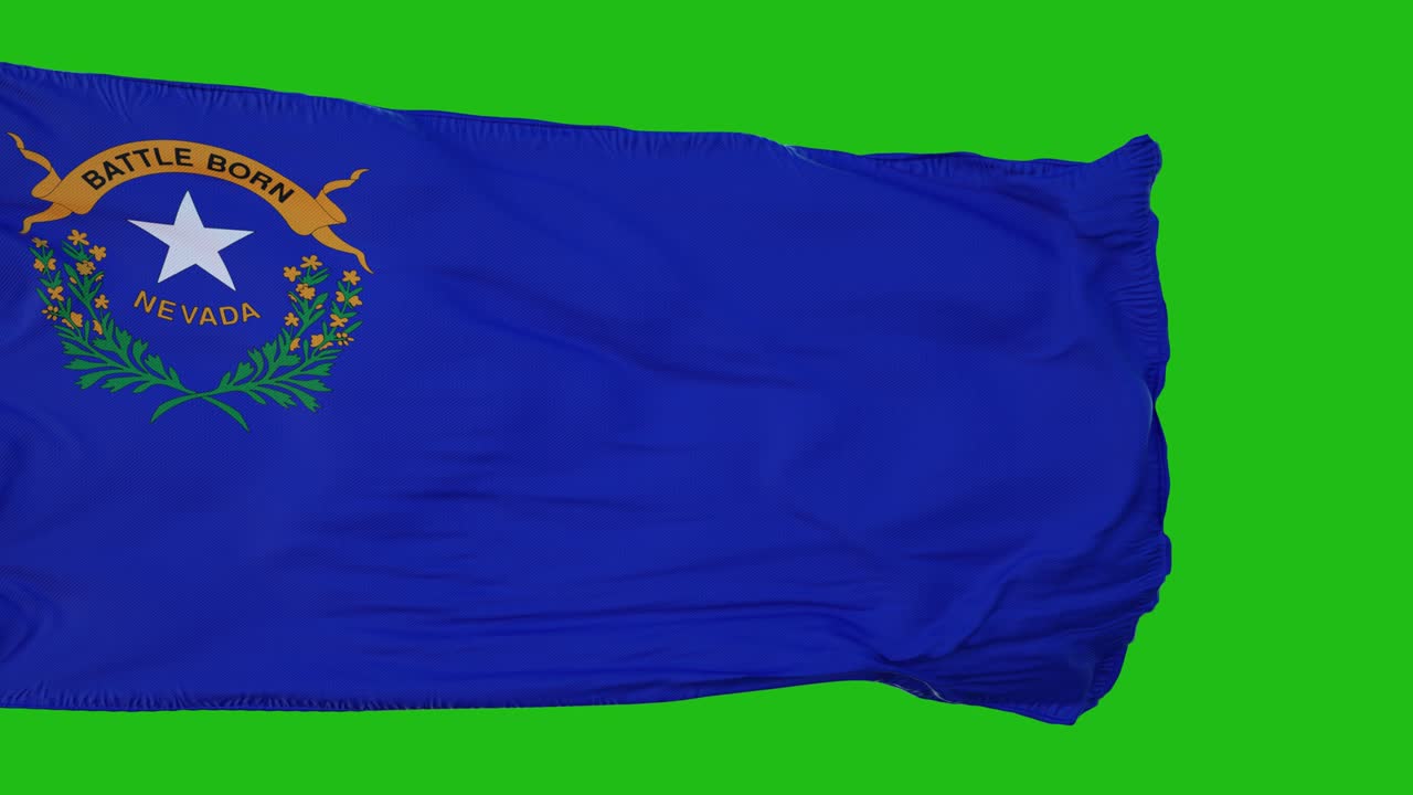 녹색 화면에 있는 네바다의 발: 녹색 스크린을 사용하여 자신의 배경에 완벽한 3d 렌더링