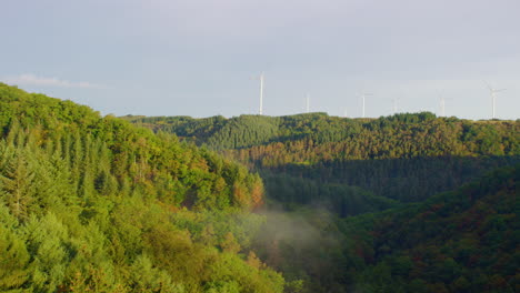 electricity windmill park next to forest on summer morning