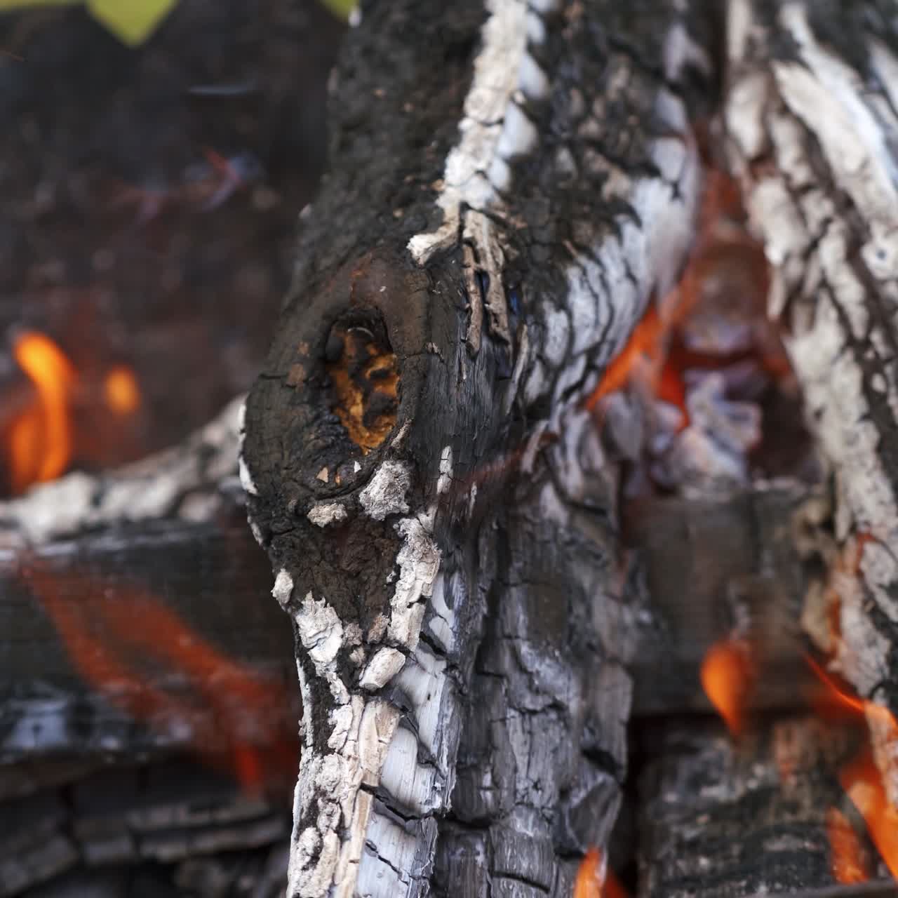 Bonfire flame and firewood