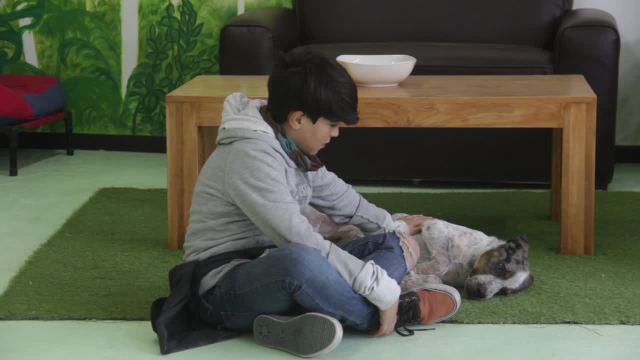 입양 전 강아지와 노는 아이