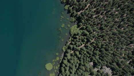 AERIAL---Limay-River-in-Valle-Encantado,-Patagonia,-Neuquen,-Argentina,-top-down-forward