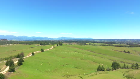 a large field of sheep dotted across a lush green field in new zealand