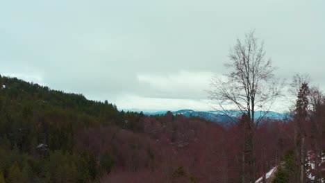 Luftwagen-über-Einen-Wald-Geschossen,-Der-Dahinter-Die-Bergige-Landschaft-Enthüllt