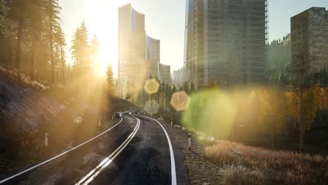 road in the forest