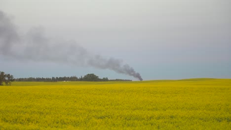 Fuego-Ardiendo-En-La-Distancia-Con-Campo-De-Canola-En-Primer-Plano