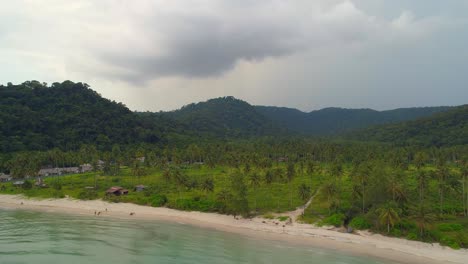 un paraíso de playa tropical con palmeras