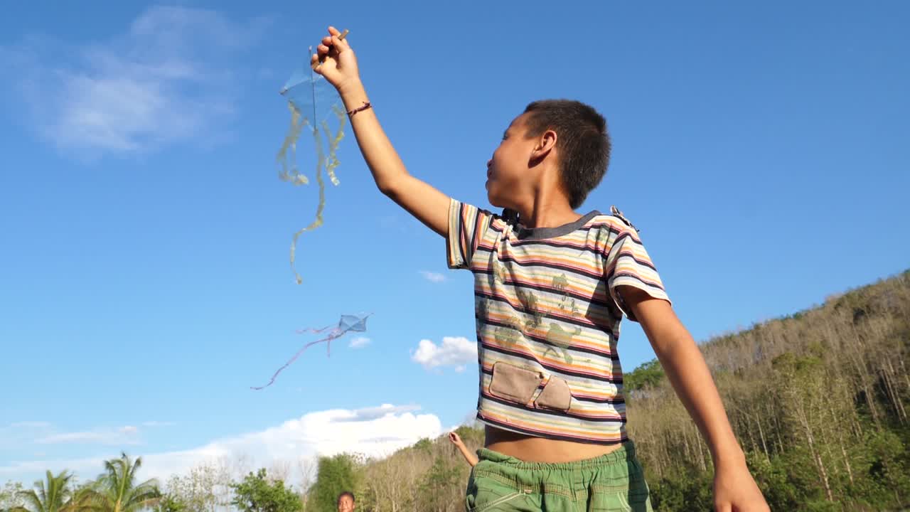Boy Flying a Kite in the Countryside