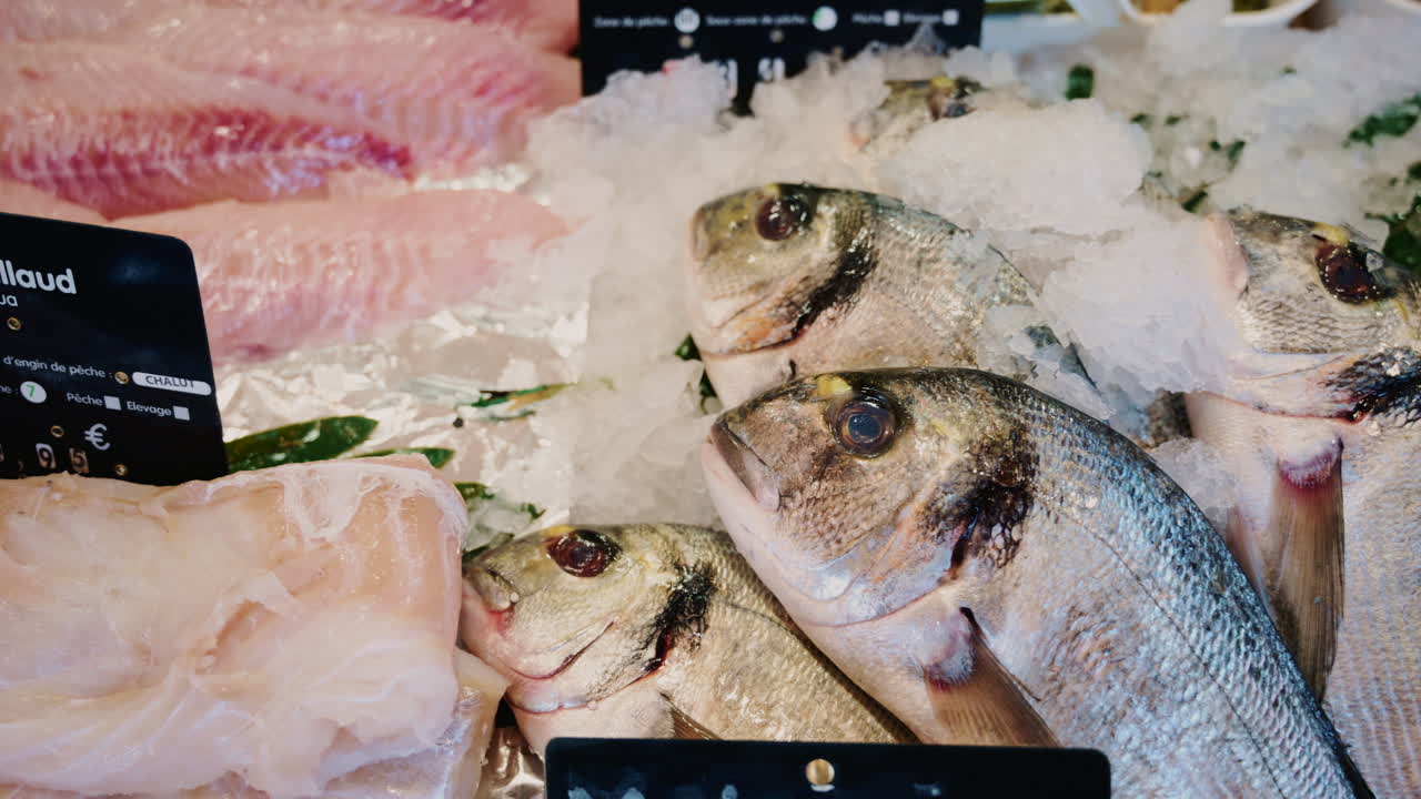 Close up of whole sea bream arranged on crushed ice at a seafood counter