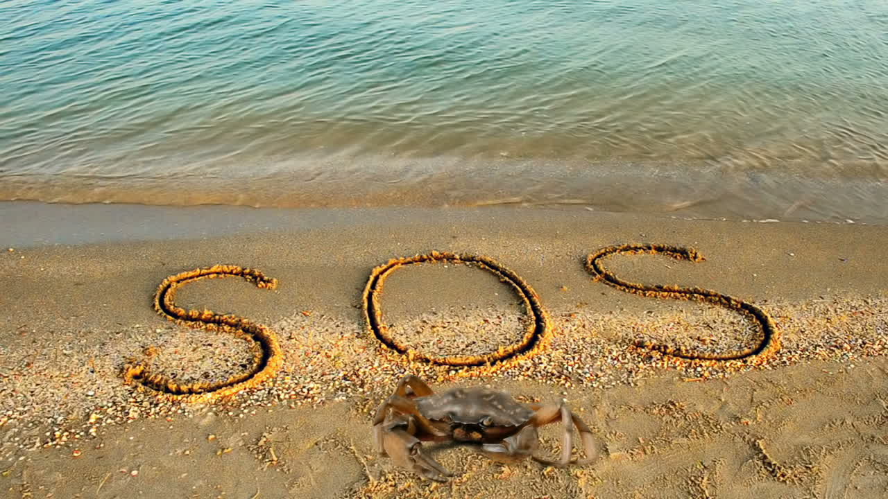 Krabba och inskriptionen SOS i sanden på stranden