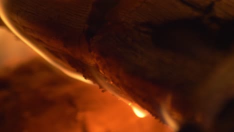 macro of burning logs of bonfire flames glowing at night