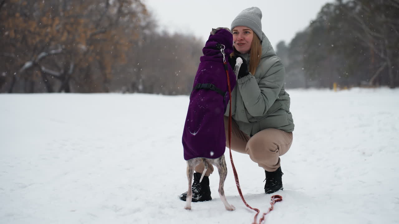 Woman kneeling in snowy park smiles joyfully while affectionate dog in purple coat stands on hind legs licking her face, creating heartwarming moment of winter companionship