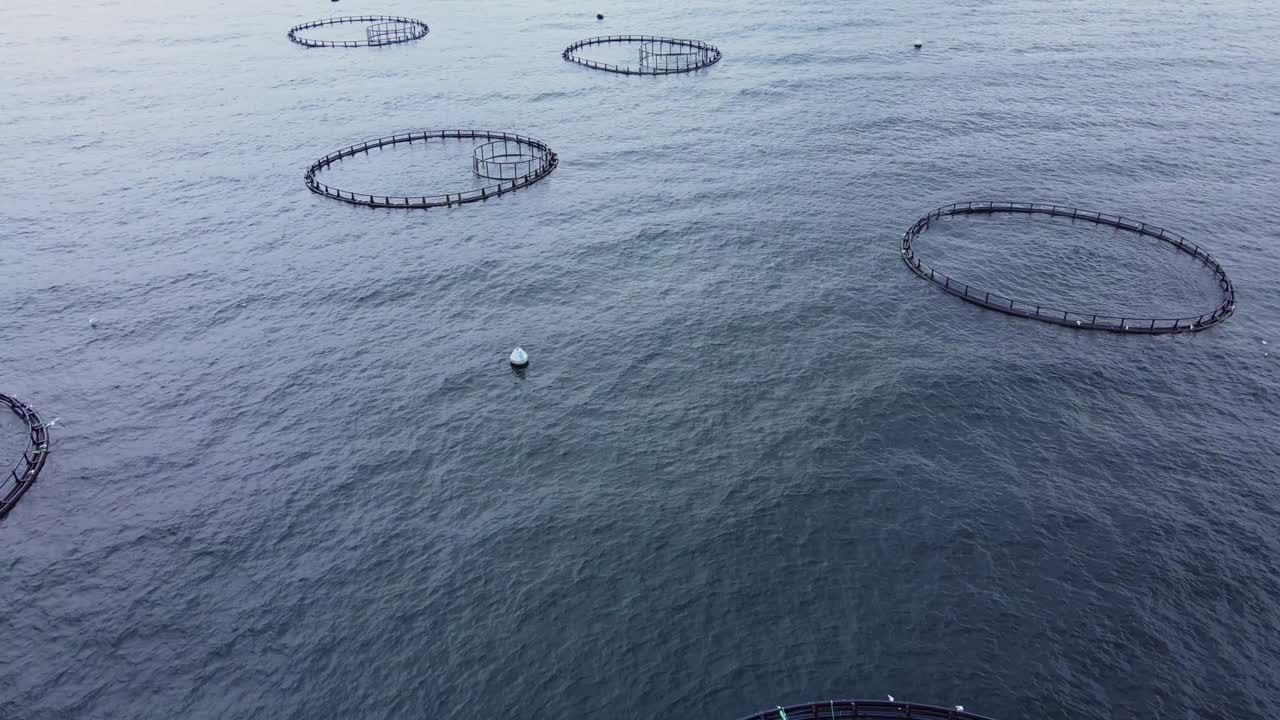 바다에서 물고기 이를 가진 공중 수산물 양식 농장