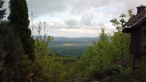 astonishing green forest in mountain surrounded by a splendor background