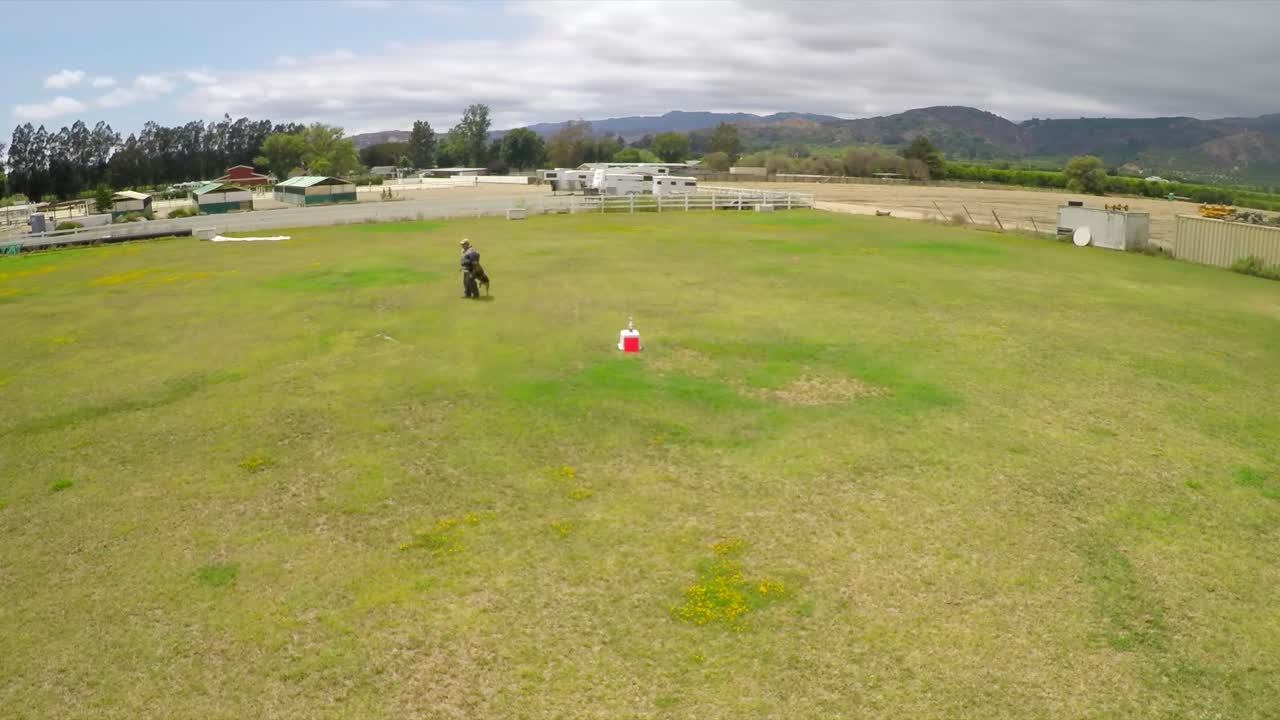 vista aérea sobre un perro k9 en entrenamiento entrenador atacante 1