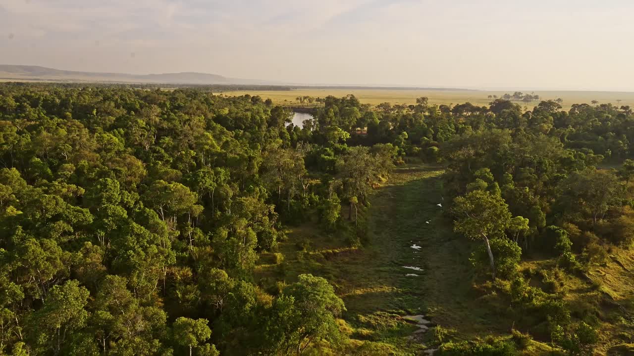recorrido en globo de aire caliente sobre las copas de los árboles por encima del dosel del hermoso paisaje africano en la reserva nacional de masai mara, kenia, áfrica animales de safari en la reserva norte de masai mara