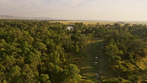 hot air ballon tour over the treetops above the canopy of beautiful african landscape in maasai mara national reserve, kenya, africa safari animals in masai mara north conservancy