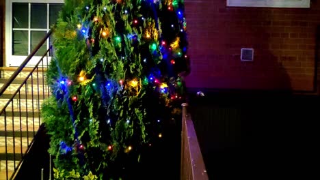 entrance of a house with a tall tree next to the entrance steps decorated with christmas lights shining intermittently with different colours.