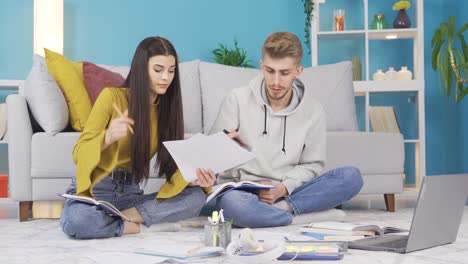 hombre y mujer jóvenes estudiando en casa, amigos de la universidad y de la escuela.