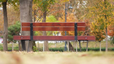 banco de madera en el parque de otoño