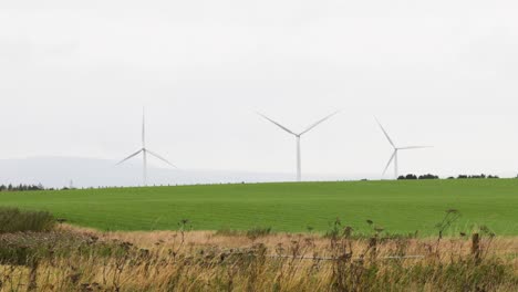 turbinas eólicas que giran en un campo verde